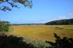 Beautiful view of Boat Meadow River off porch